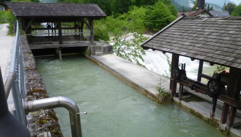 Wasserschnecke am Bergwirtwehr Kiefersfelden Einlauf - Station 7 Kieferer Rnergiewanderweg