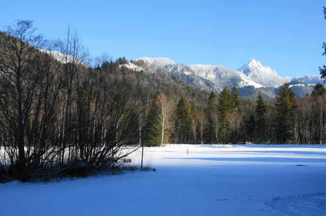 Haus Hammer - Blick hinüber zum Wendelstein