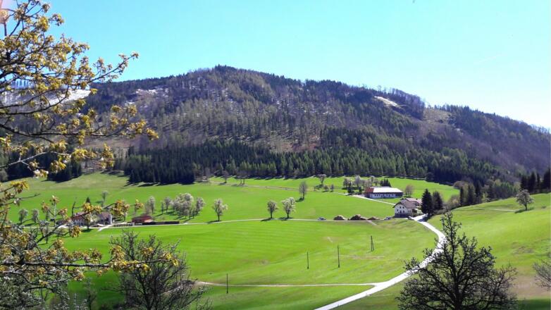 Hirschwaldstein 1.095m