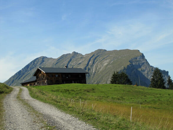Godlachenalpe im Hintergrund die Kansifluh