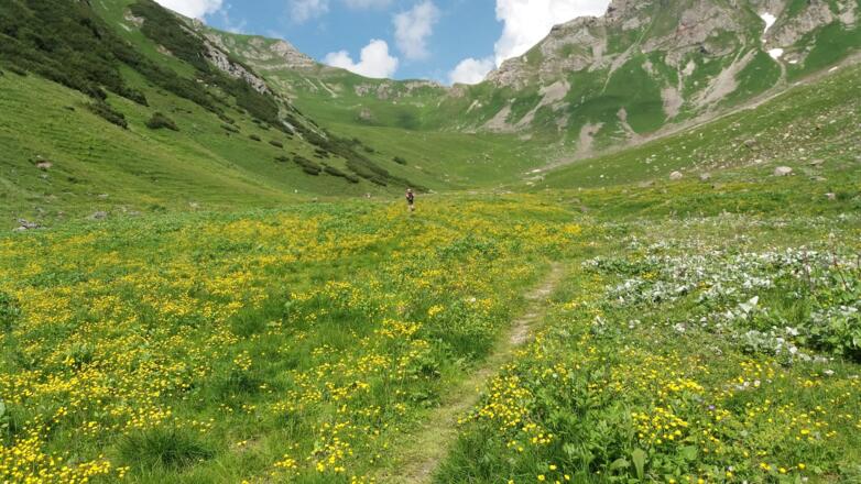 Zustieg zum Bettlerjoch durch das gelb blühende Naaftal.
