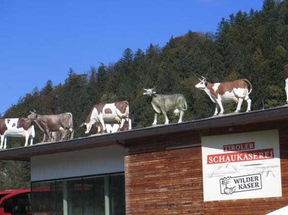 Schaukkäserei, hier abbiegen