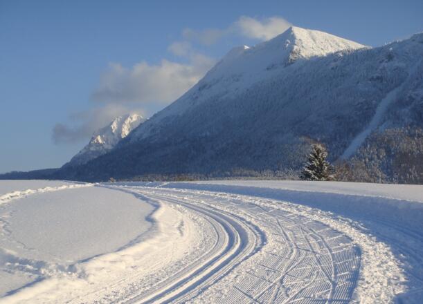 Langlaufloipe mit Blick auf den Gamskogel