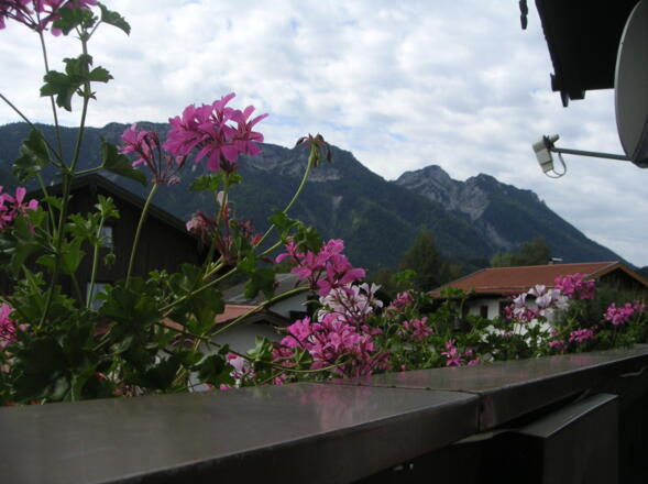 Blick vom Balkon auf den Rauschberg