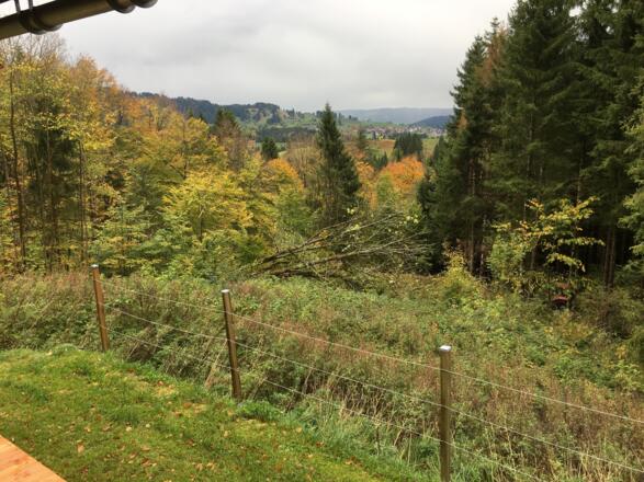 Blick Richtung Steibis