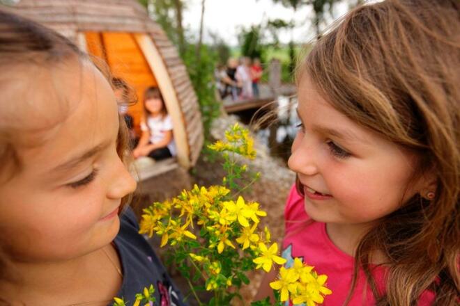 Naturerlebnis Benninger Ried