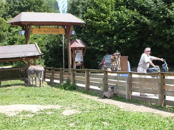 Esel und Ziege im Fuchsgarten in Riedenburg im Altmühtal