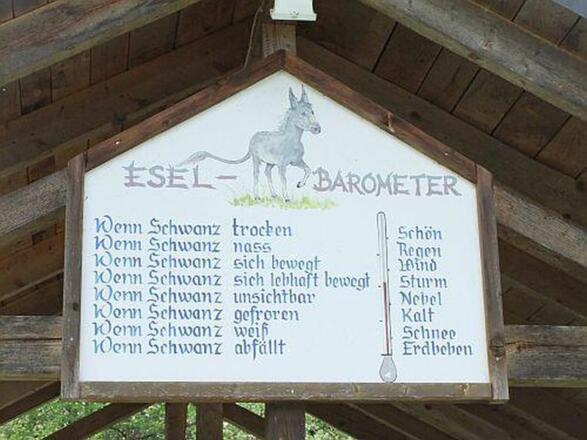 Eselbarometer im Fuchsgarten in Riedenburg im Altmühltal