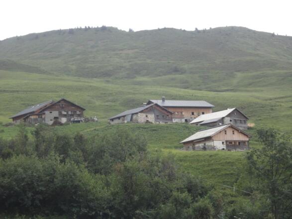 Zafernalpe von unten gesehen