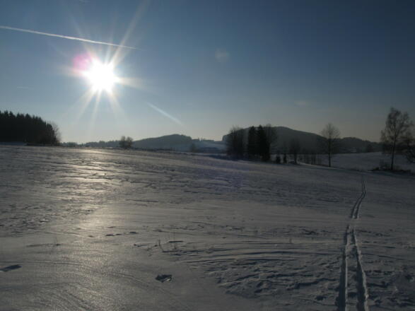 Langlaufen am Braunberg, ideal auch fürs Schneeschuhwandern
