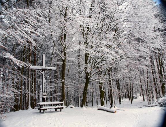 Nordgipfel mit Kreuz, 610m