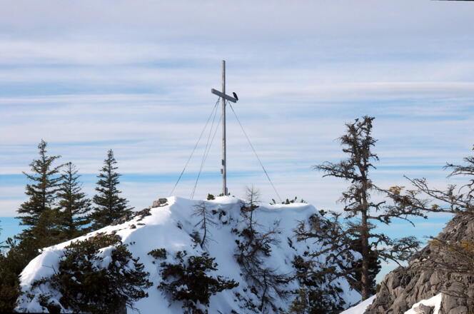 Zwillingskogel 1402m im Winter