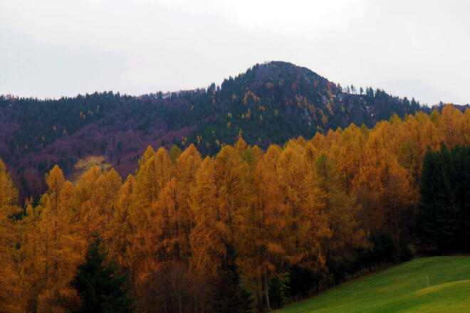 Mittagstein 1260m von Steinbach 547m