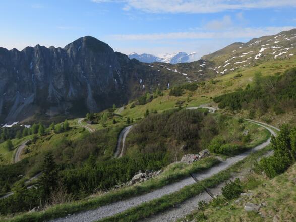Blick zurück auf den Forstweg.