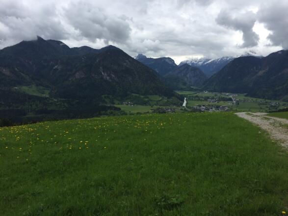 Sonntag, 14. Mai 2017, 13:03 Uhr