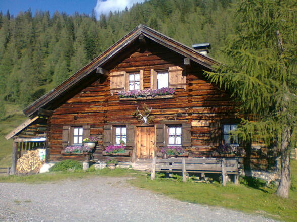 Steinkaralm