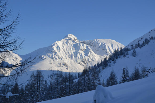 Blick auf den Draugstein