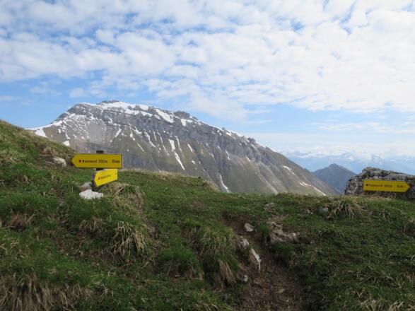Hier der markierte Steig der vom Padasterjochhaus aus erreicht wird. Im Hintergrund die Kesselspitze.