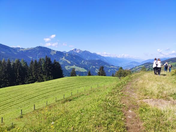 Rund ums Öbristköpfl