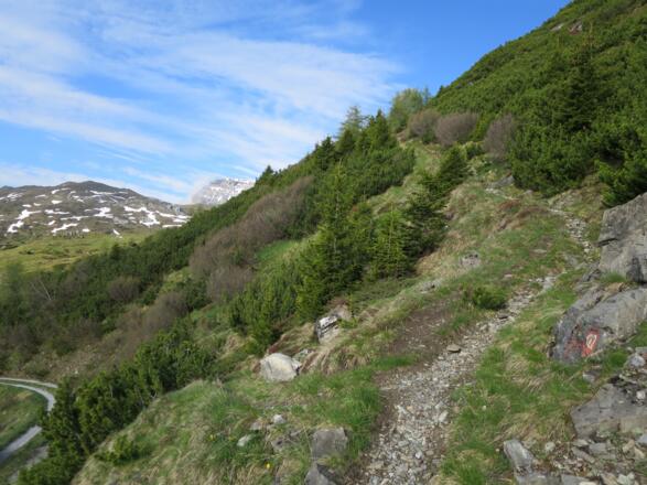 Immer den Markierungen 122 folgen.