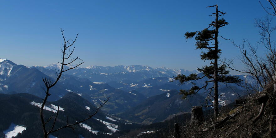 Blick von der Lindaumauer ins Sengsengebirge: Der Nationalpark Kalkalpen