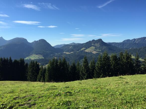 Blick auf Hörnlepass und Osterbergalpe