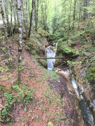 Sonntag, 14. Mai 2017, 13:04 Uhr