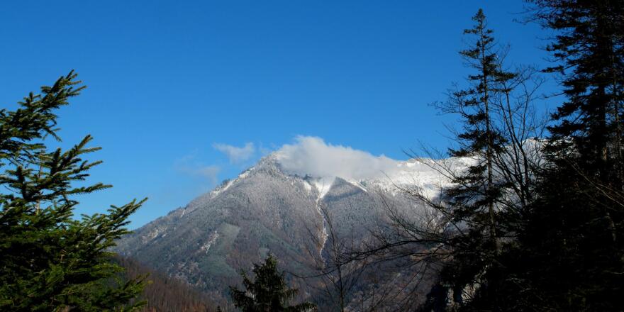 Das Spitzplaneck vom Kasberg-Massiv ...