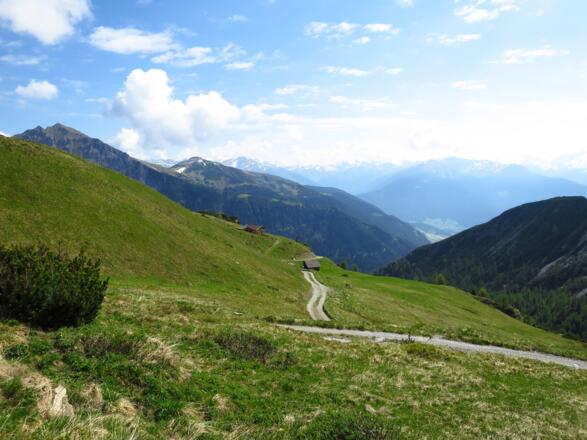 Wunderschöne Almwiesen unterhalb des Padasterjochhauses.