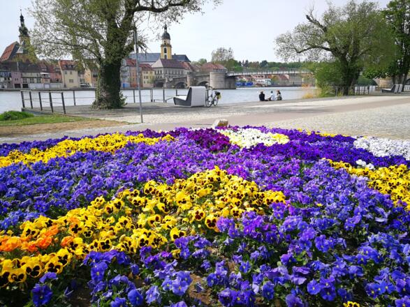 Ehemaliges Gartenschaugelände mit Blick auf den Stadtbalkon Kitzingen