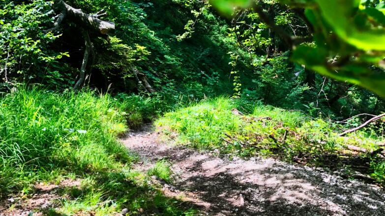 Trail bzw. Schiebestrecke in Richtung Offensee