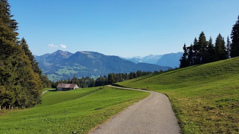 Blick in den Bregenzerwald vom Brüggelekopf