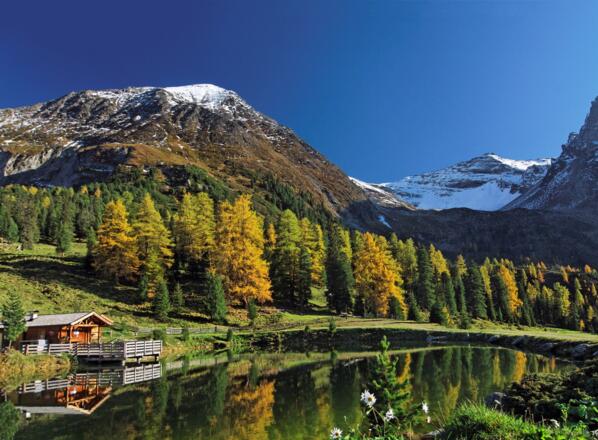 Spiegelbild in der Grierlacke