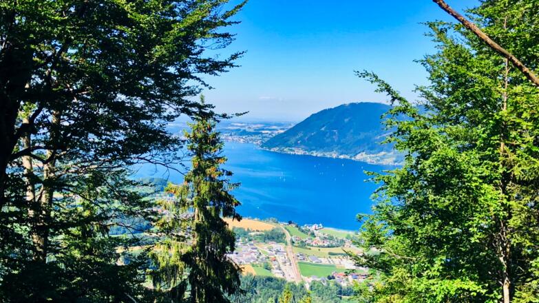 Blick in Richtung Gmunden am Traunsee