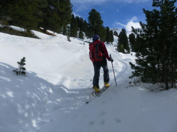 Almweg zur Zirmachalm