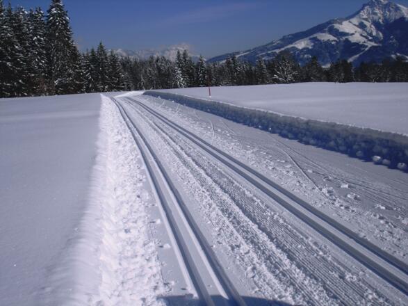 Going_Römerhof Winterrunde_Wilder Kaiser