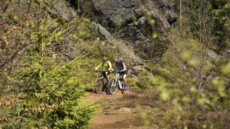 Mountainbike Silberberg