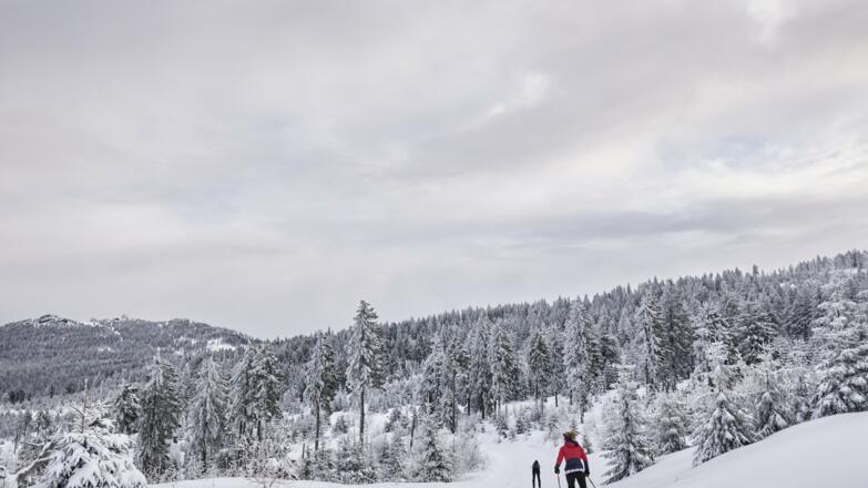 Langlaufen am Bretterschachten