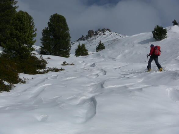 freie Hänge oberhalb der Zirmachalm