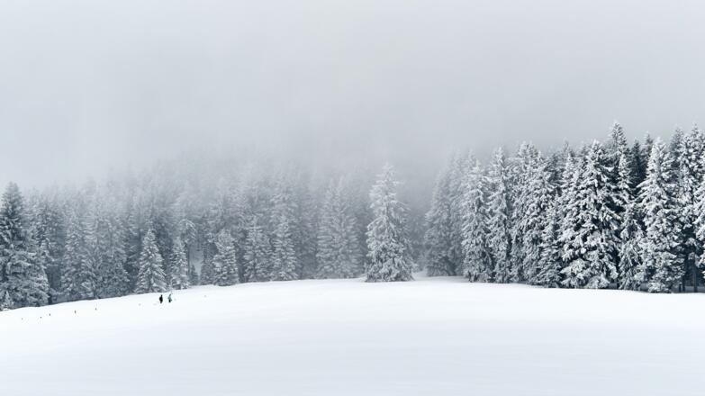 Buchhüttenschachten