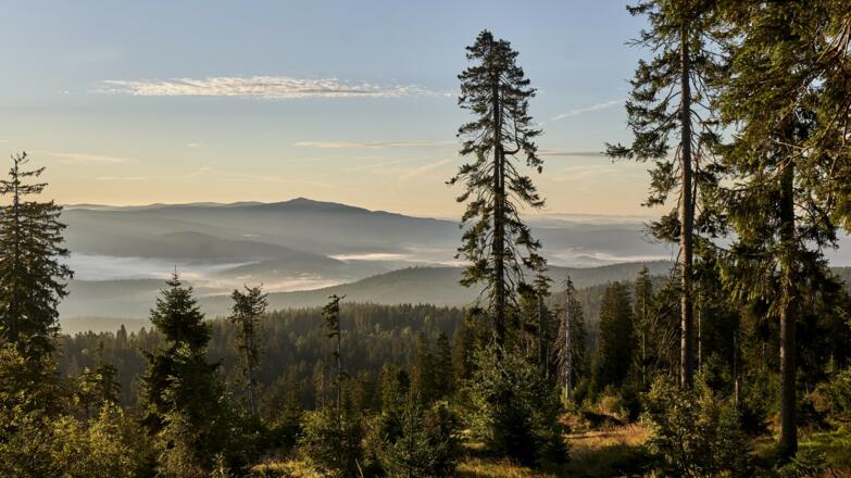Sonnenaufgang am Mittagsplatzl