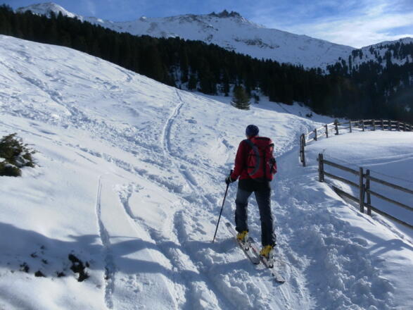 Hänge der Stieralm, am Horizont die Eiskarspitzen