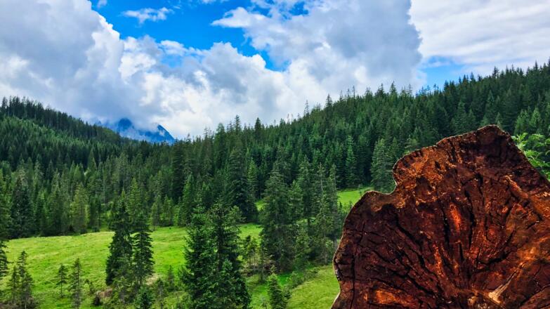 Auffahrt zur Rosshütte