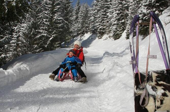 Rodeln auf der Hochalm