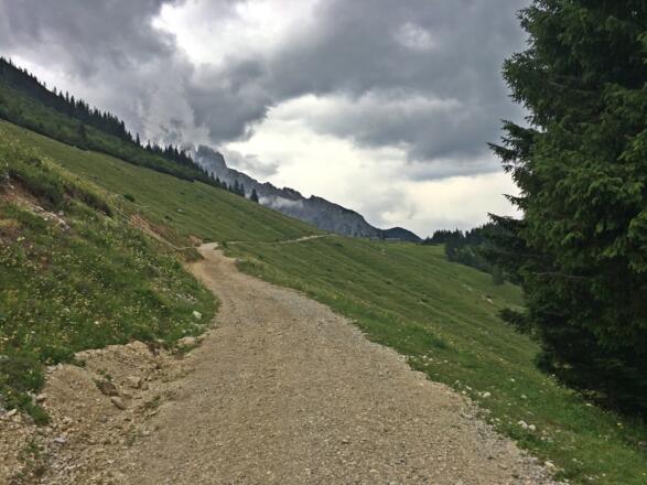 Wandern im Lammertal 