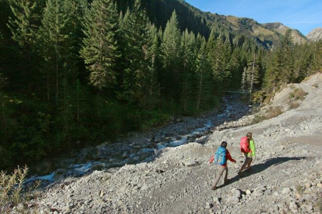 Entlang des Bernhardsbaches