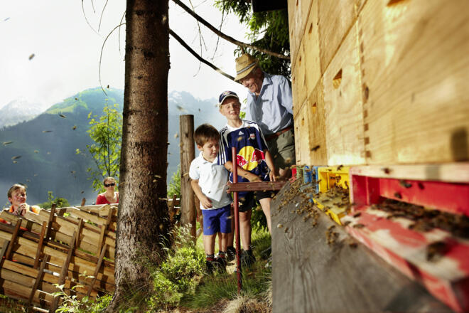 Bienenlehrpfad Hollersbach