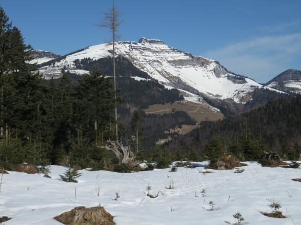 Der Schmittenstein gegenüber