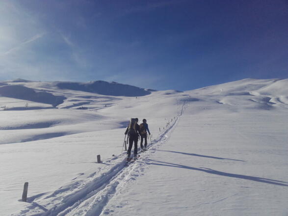 Aufstieg auf das Filzmooshörndl