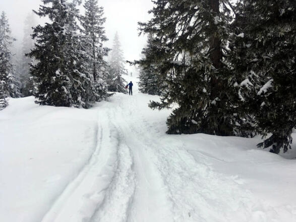 Entlang der Strecke Richtung Hochkeil 